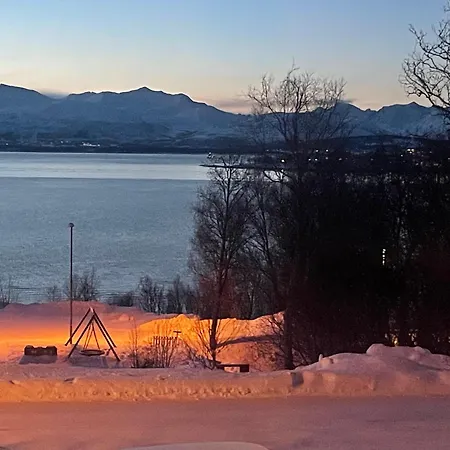 Northern Light