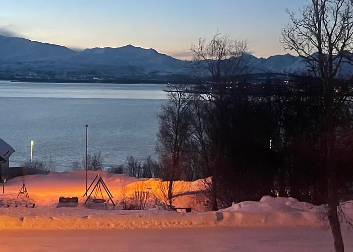Northern Light